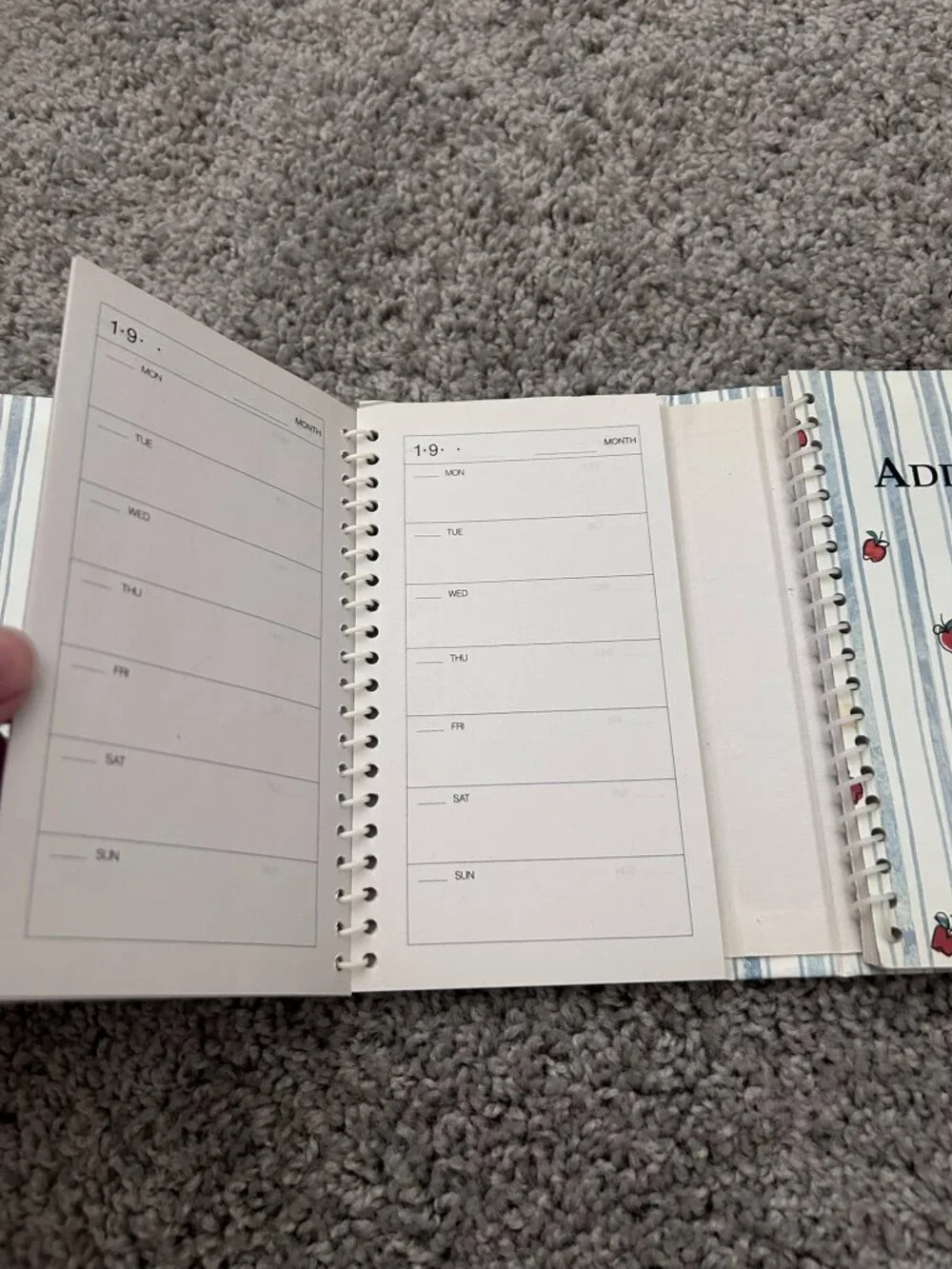 Vintage 1990's Apples 3 Fold Organizer and Address Book Spiral